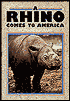 A Rhino Comes to America