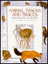Animal Tracks and Traces