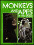 Monkeys and Apes of the World