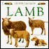 Lamb