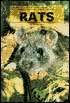 Rats