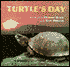 Turtle's Day