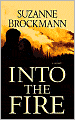Into the Fire (Troubleshooters Series #13)