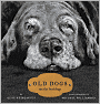 Old Dogs: Are the Best Dogs