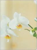 Orchid Mini Notebook