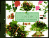 The Garden Planner and Record Book
