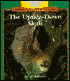 The Upside-down Sloth