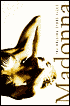 Madonna, The Rolling Stone Files, Vol. 1 by Rolling Stone Magazine: Book Cover