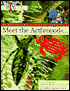 Meet the Arthropods