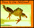 Here Is the Wetland