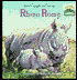 Rhino Romp
