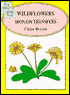 Wildflowers Iron-on Transfers