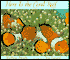 Here Is the Coral Reef