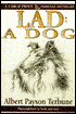 Lad: A Dog