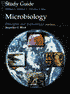 Microbiology: Principles and Explorations: Study Guide
