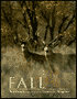 Fall