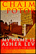My Name Is Asher Lev