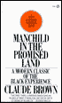 Manchild in the Promised Land