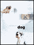 Complete Guide to the Dog