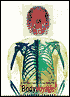 Body Voyage: A Three-Dimensional Tour of a Real Human Body