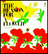 The Reason for a Flower