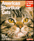 American Shorthair Cats: Everything about Purchase, Care, Nutrition, Health Care, Behavior, and Showing