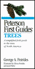 First Guide to Trees of North America