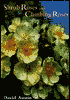 Shrub Roses and Climbing Roses: With Hybrid Tea and Floribunda Roses