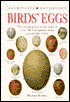 Birds' Eggs