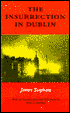 The Insurrection in Dublin