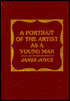 Portrait of the Artist as a Young Man