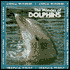The Wonder of Dolphins