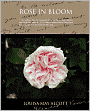Rose in Bloom: A Sequel to Eight Cousins
