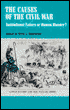 The Causes of the Civil War: Institutional Failure or Human Blunder?