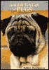 For the Love of Pugs