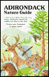 Adirondack Nature Guide: Birds, Trees, Plants, Insects, Mammals, Reptiles and Amphibians of the North Country