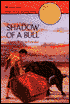 Shadow of a Bull