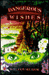 Dangerous Wishes