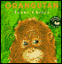 Orangutan