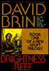 Brightness Reef (New Uplift Series #1)