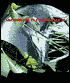 Further Architects in Cyberspace II