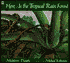 Here Is the Tropical Rain Forest