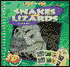 Snakes and Lizards; Eye to Eye Books