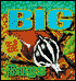 Big Bugs