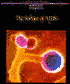 Science of Aids