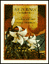 He Is Risen: The Easter Story