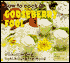 How to Cook a Gooseberry Fool: Unusual Recipes from Around the World