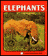 Elephants