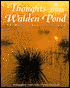 Thoughts From Walden Pond