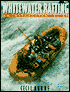 Whitewater Rafting